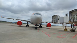 娃哈哈:宗馥莉继续履行管理职责 娃哈哈:宗馥莉继续履行管理职责