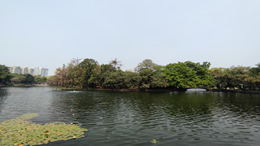 阿里巴巴将于3月下旬成都、深圳等组织专场招聘活动