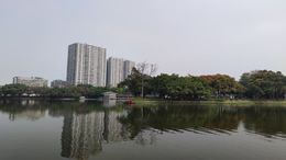 2023年海南继续放宽普通小客车增量指标申请资格条件