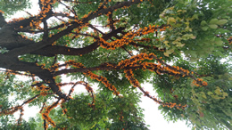 露从今夜白，今日是白露！